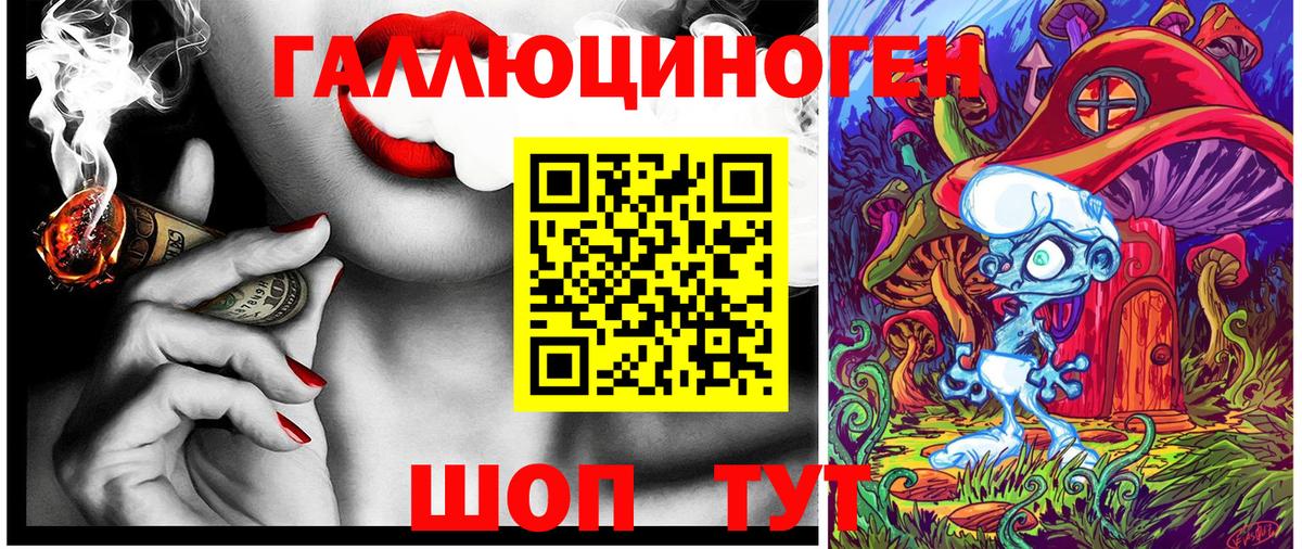 Томск  Псилоцибиновые грибы Psilocybe  Вход с VPN  Псилоцибиновые грибы Cubensis 