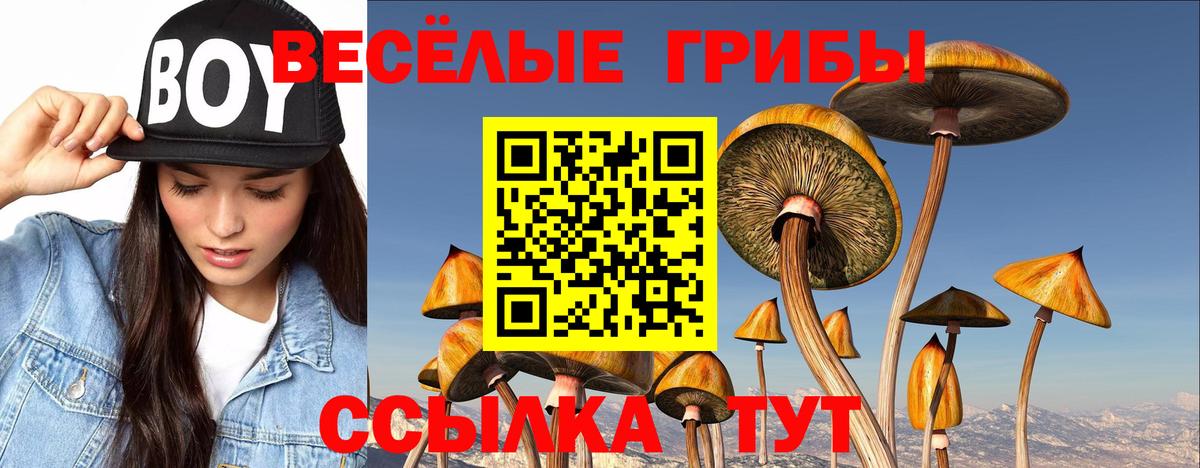 Псилоцибиновые грибы прущие грибы Томск